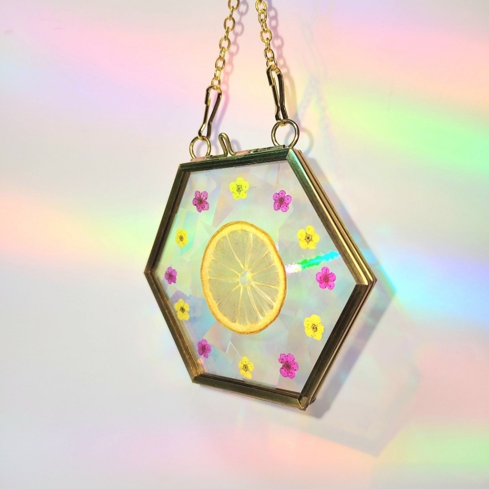 Floral Suncatchers, hand-made with REAL flowers & fruits, Rainbow Blaster